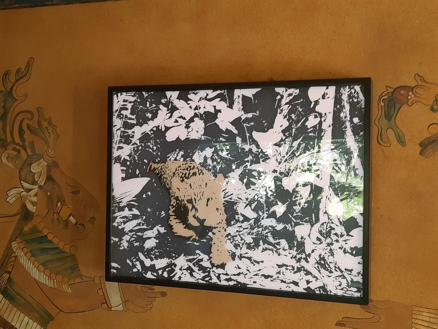 Jaguar Light Up Display