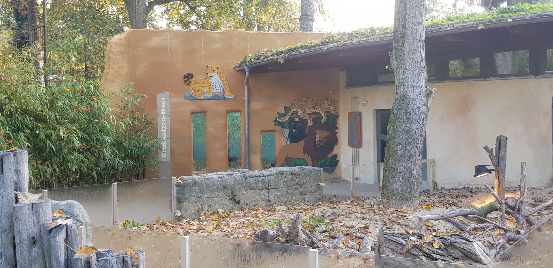 Jaguar, lion and meerkats house