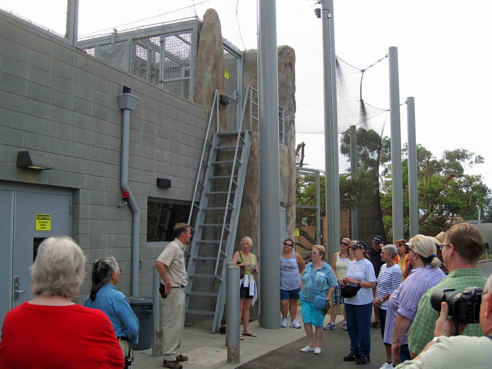 Jaguar/Lion enclosure at Elephant Odyssey