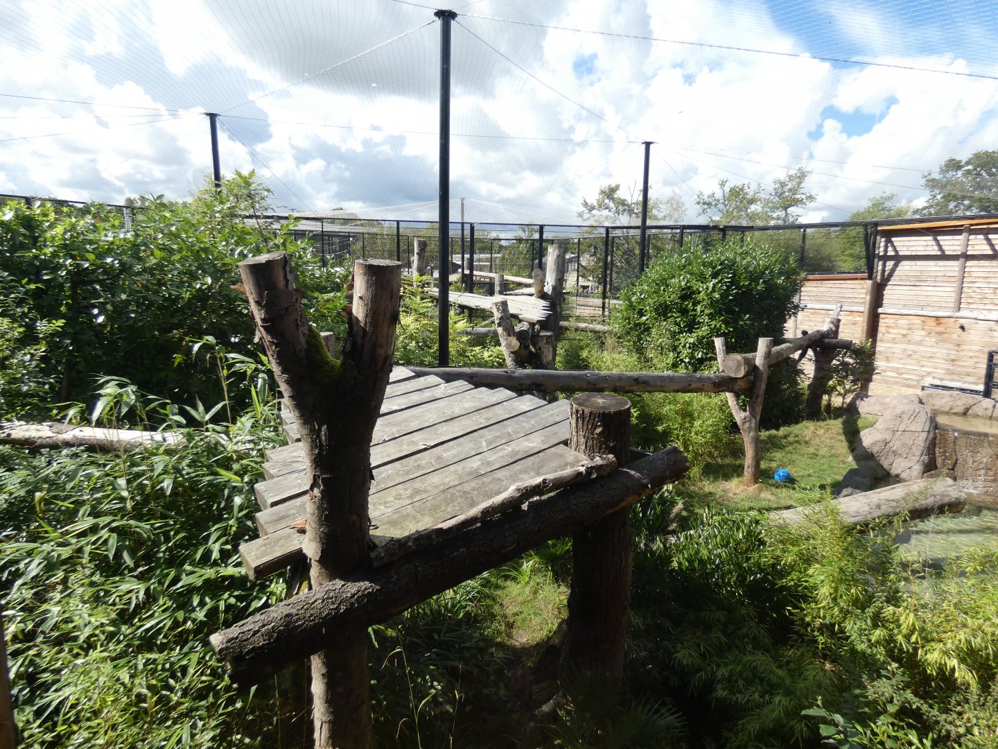 Jaguar outdoor enclosure