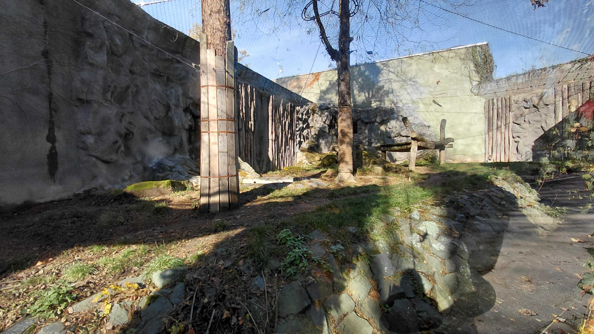 Jaguar outdoor exhibit