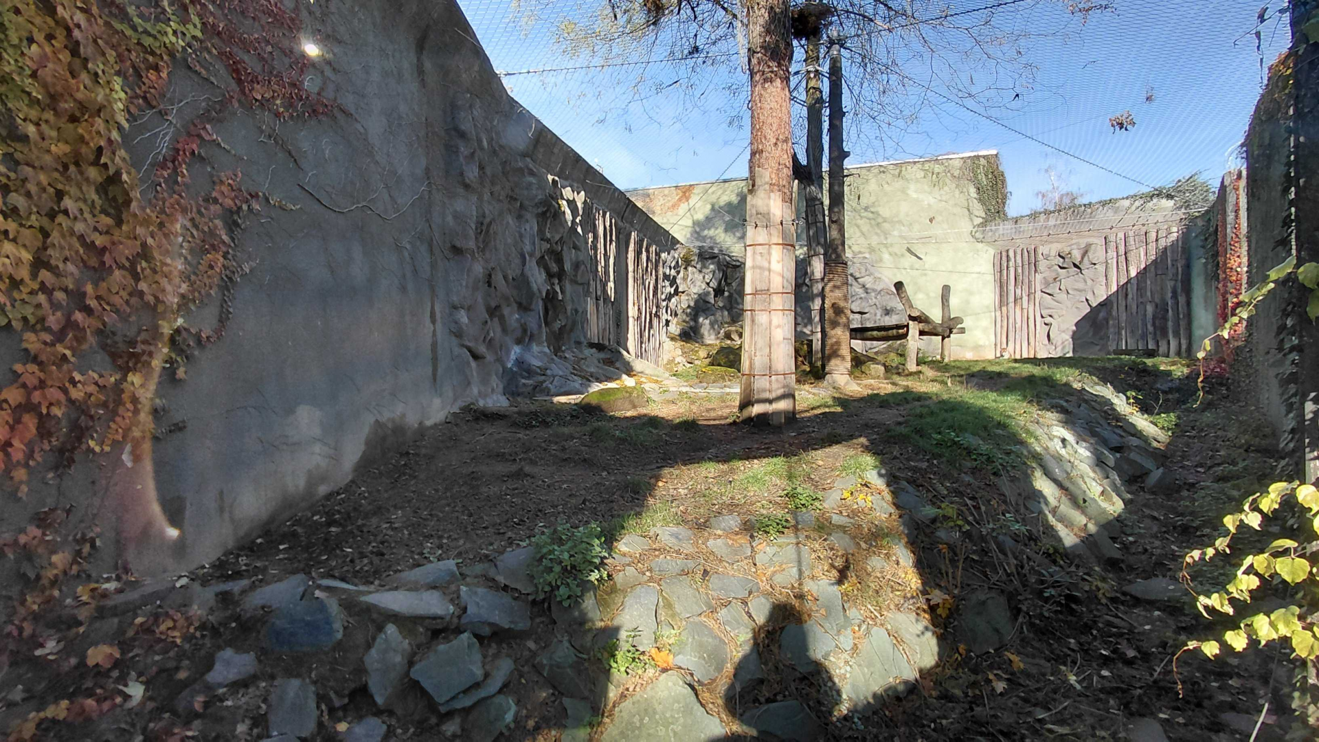 Jaguar outdoor exhibit