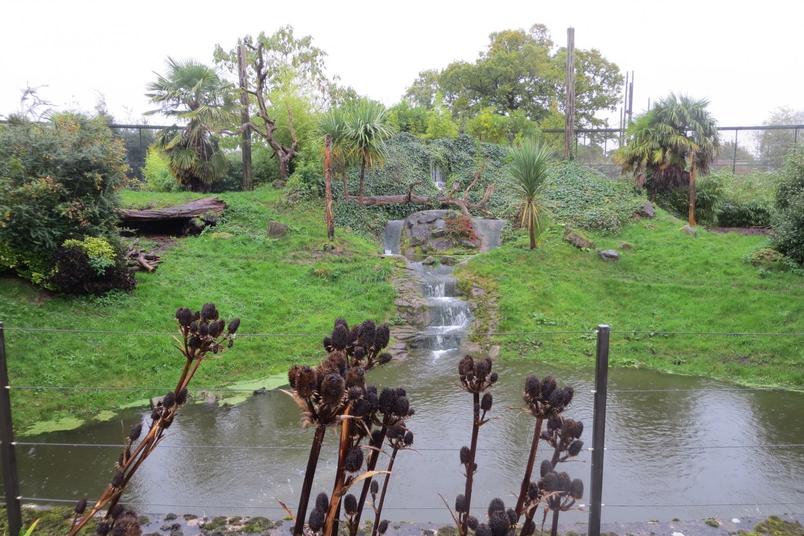 Jaguar outdoors 261019