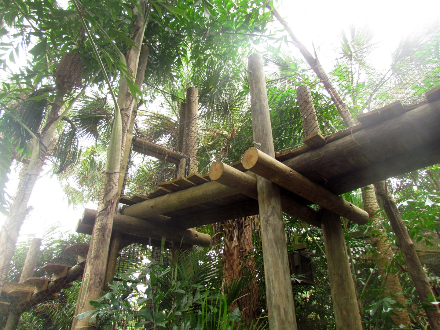 Jaguar Overhead Transfer