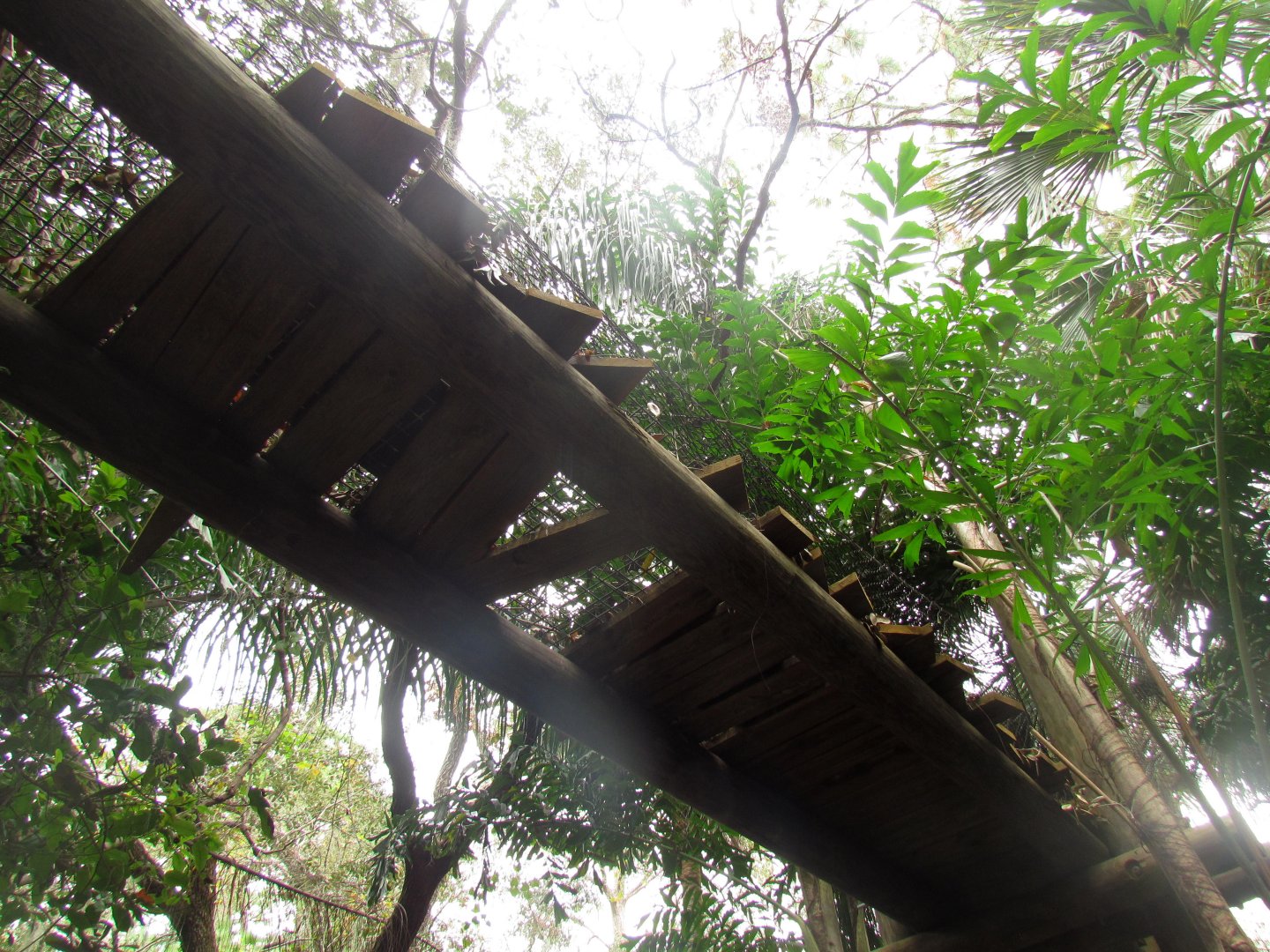 Jaguar Overhead Transfer