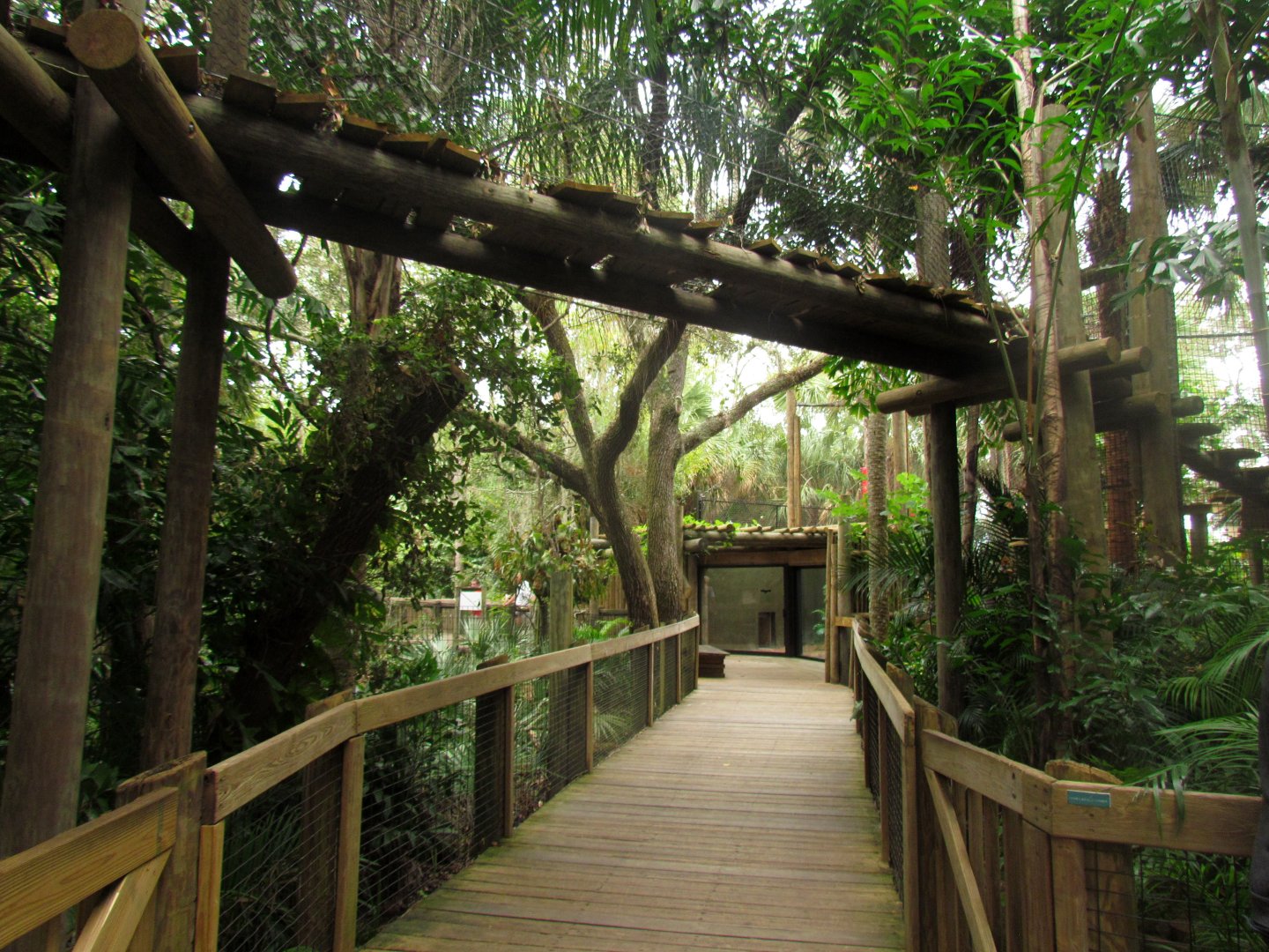 Jaguar Overhead Transfer