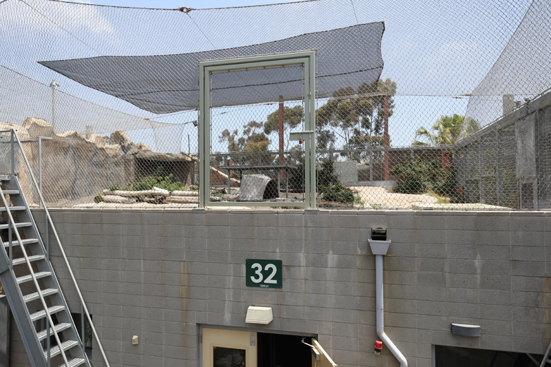 jaguar rooftop yard (from bus)