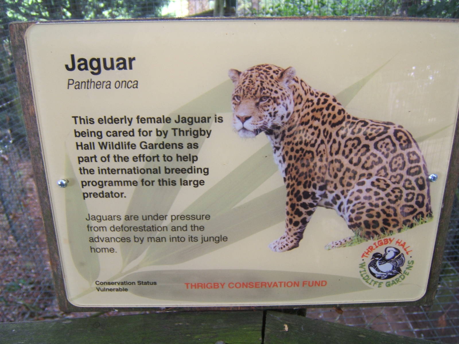 Jaguar sign