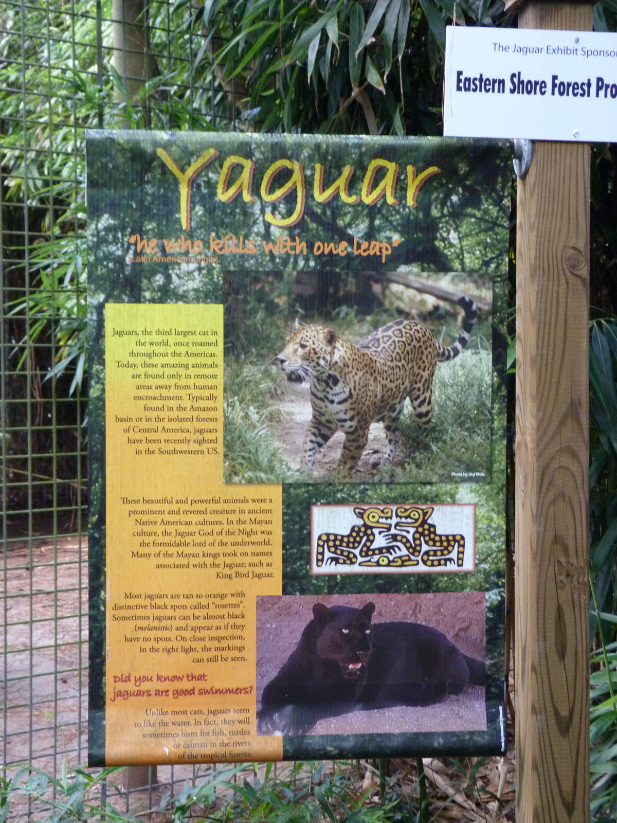 Jaguar Sign