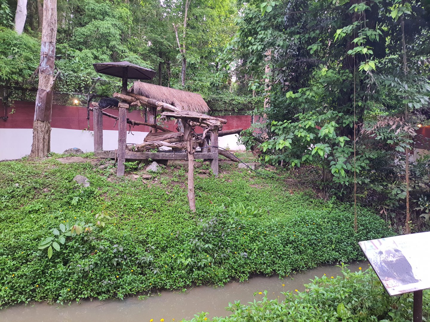 Jaguar Trail- Binturong exhibit
