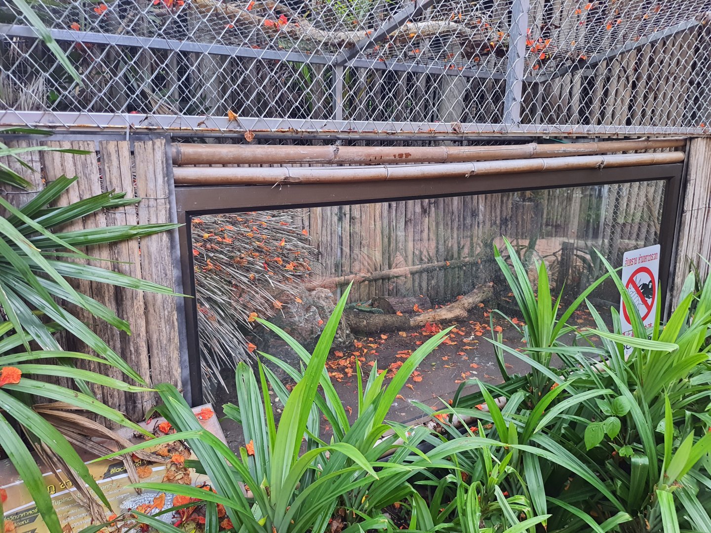 Jaguar Trail- Black-And-White Tegu exhibit