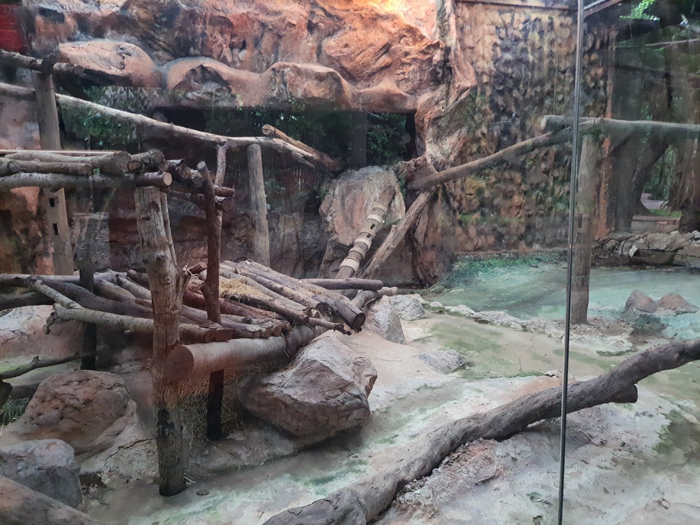 Jaguar Trail- Clouded Leopard exhibit