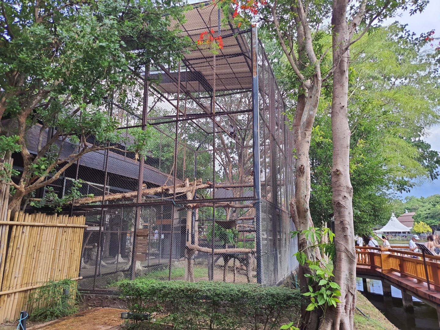 Jaguar Trail- Douc Langur exhibit