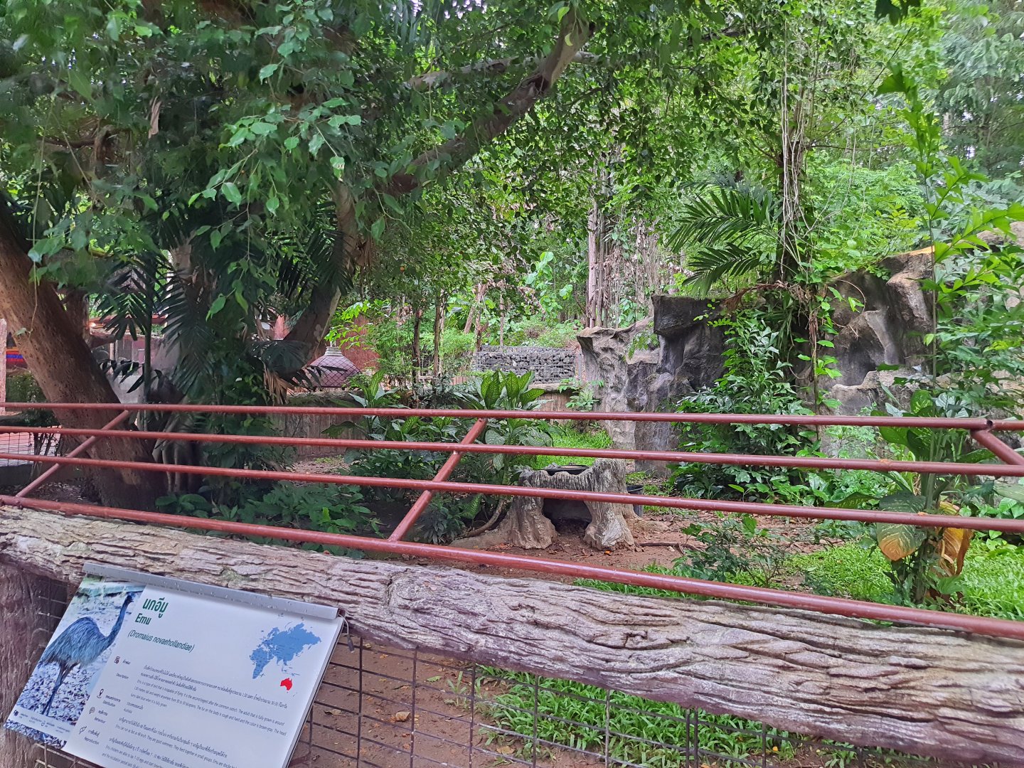 Jaguar Trail- Emu exhibit