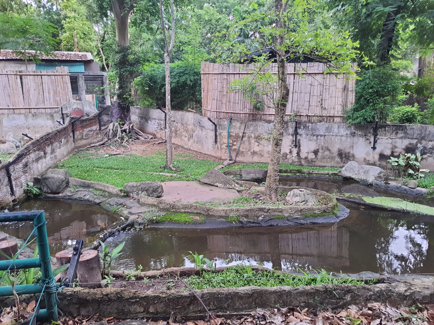 Jaguar Trail- Enclosure for Asian small-clawed otters