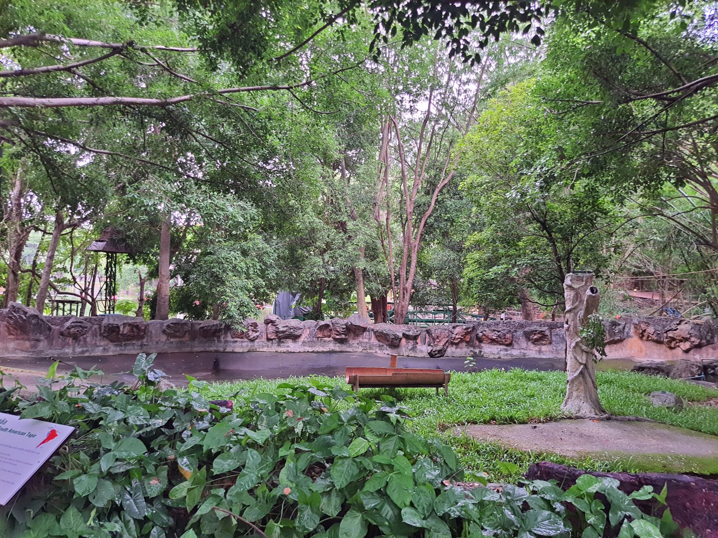 Jaguar Trail- Exhibit for Brazilian Tapir