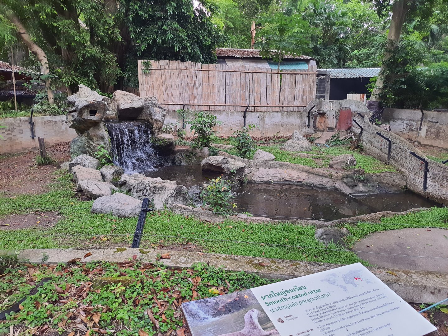 Jaguar Trail- Exhibit for Smooth Coated Otters
