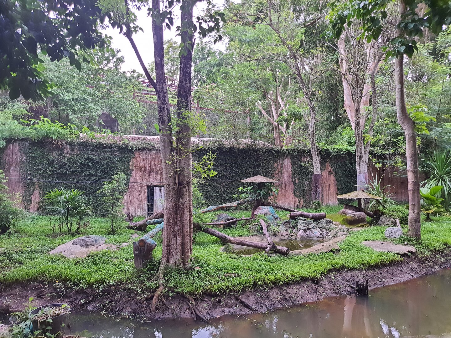 Jaguar Trail- Fishing cat exhibit