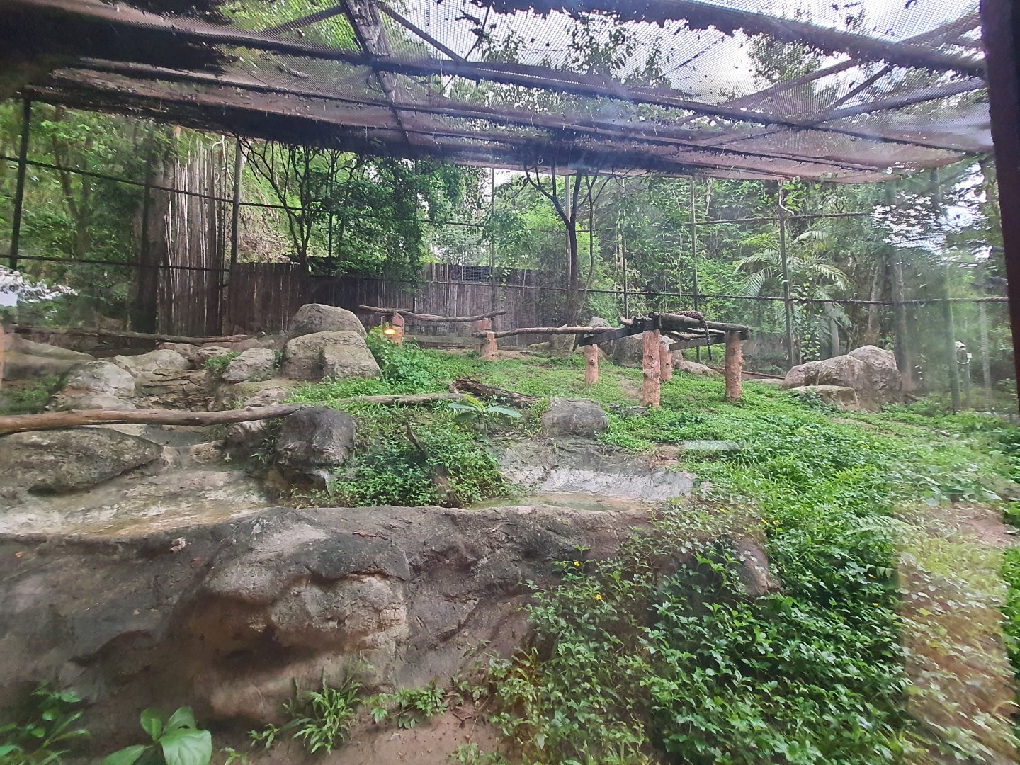 Jaguar Trail- Indochinese Leopard exhibit