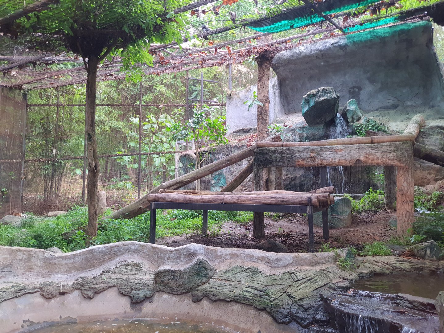 Jaguar Trail- Jaguar exhibit