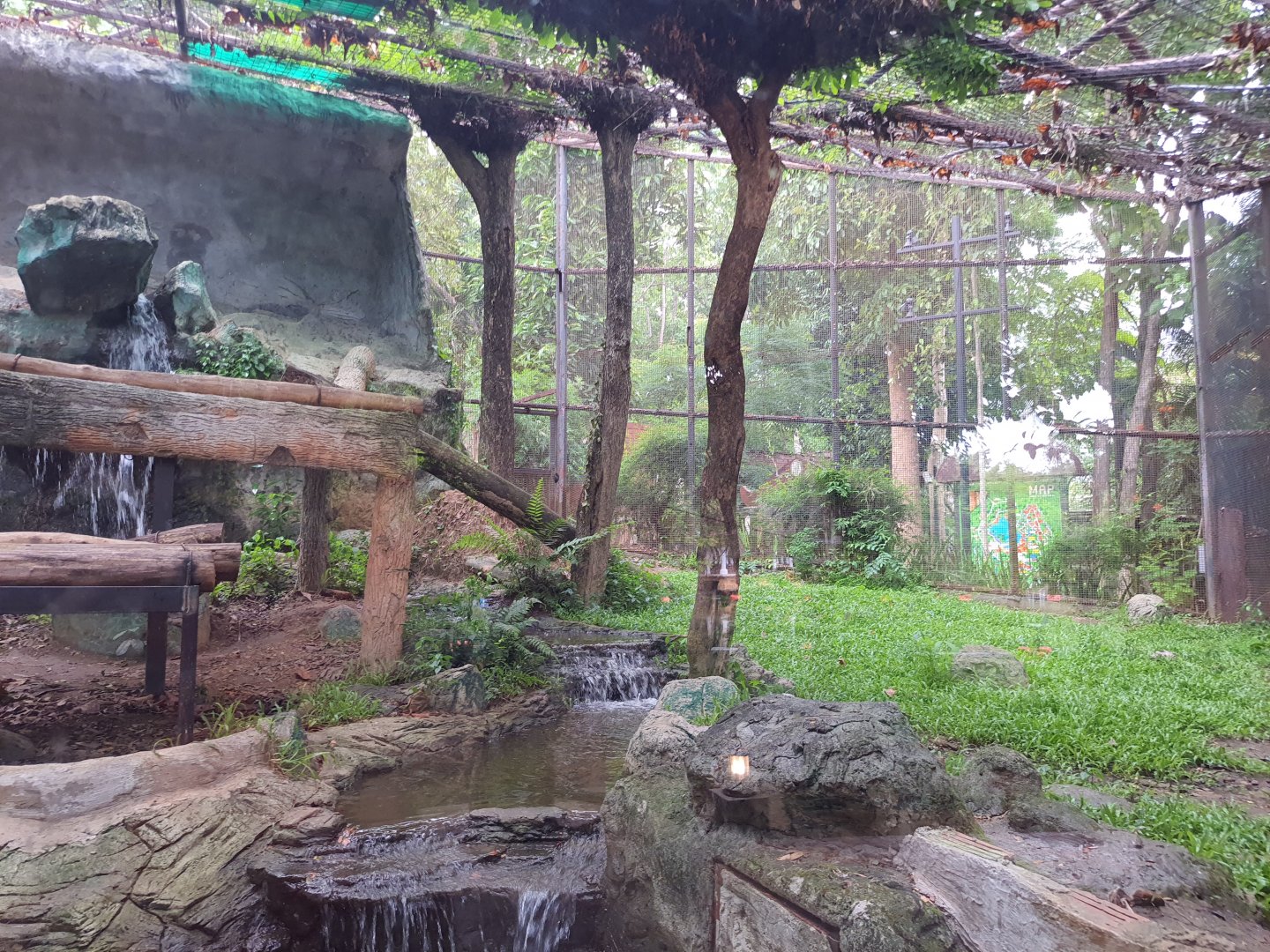 Jaguar trail- Jaguar exhibit