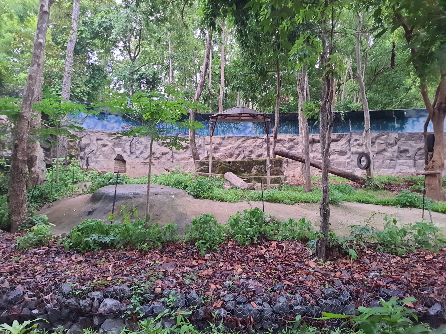 Jaguar Trail- Sloth Bear exhibit