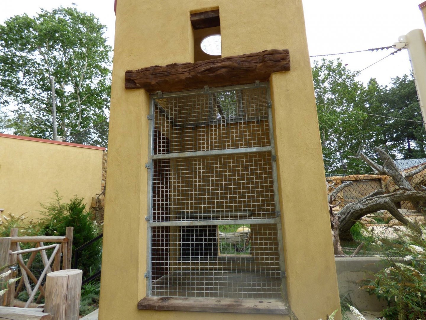 Jaguar training area