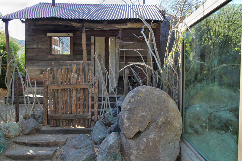 jaguar transfer cage