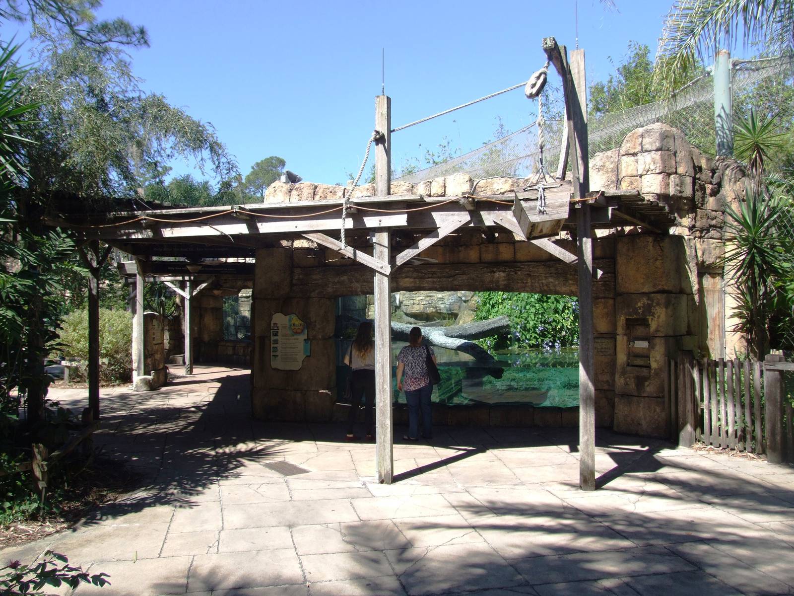 Jaguar Viewing at Jacksonville, 10/10/13