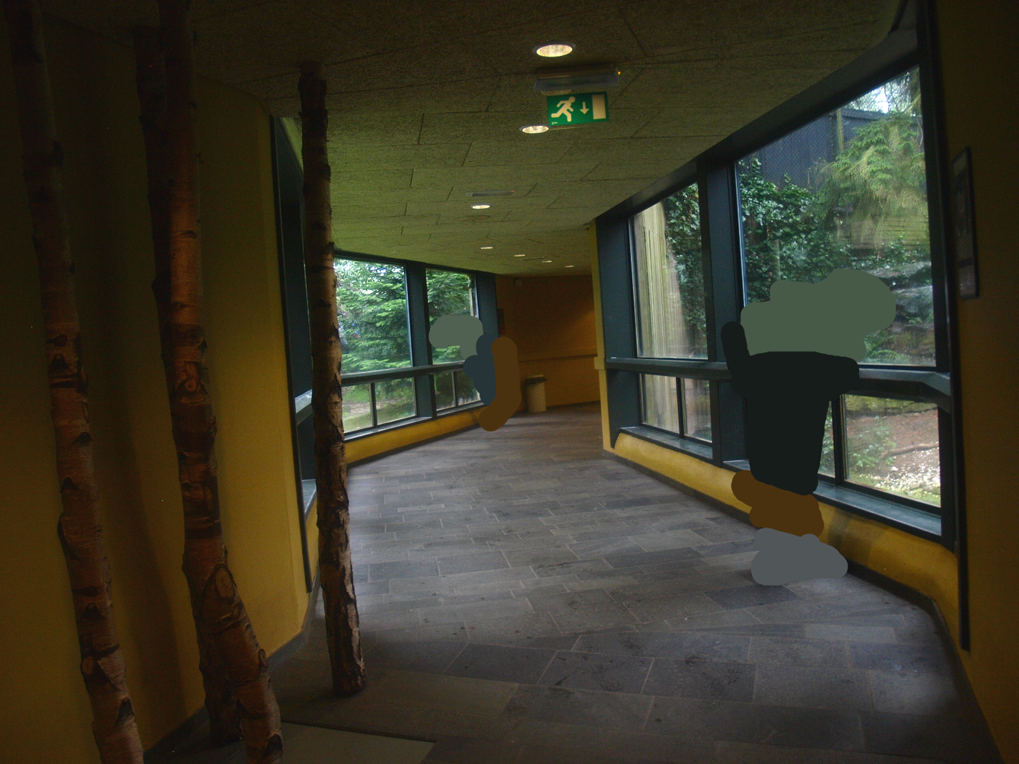 Jaguar viewing corridor, Former Amur tiger viewing corridor, 2015-07-19