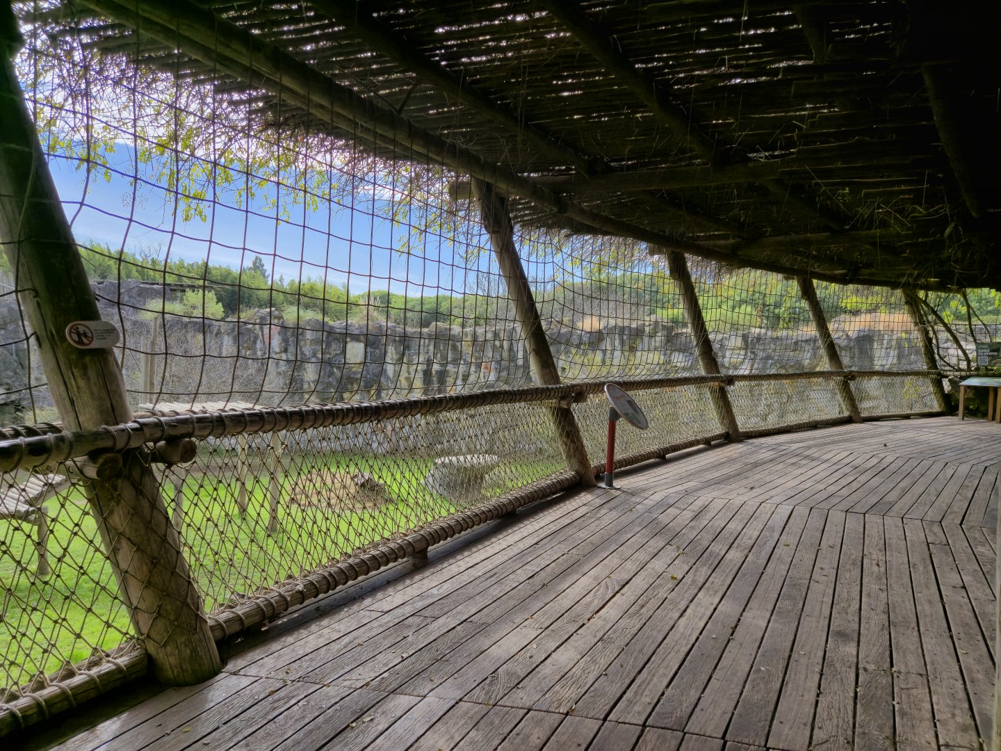 Jaguar viewing platform