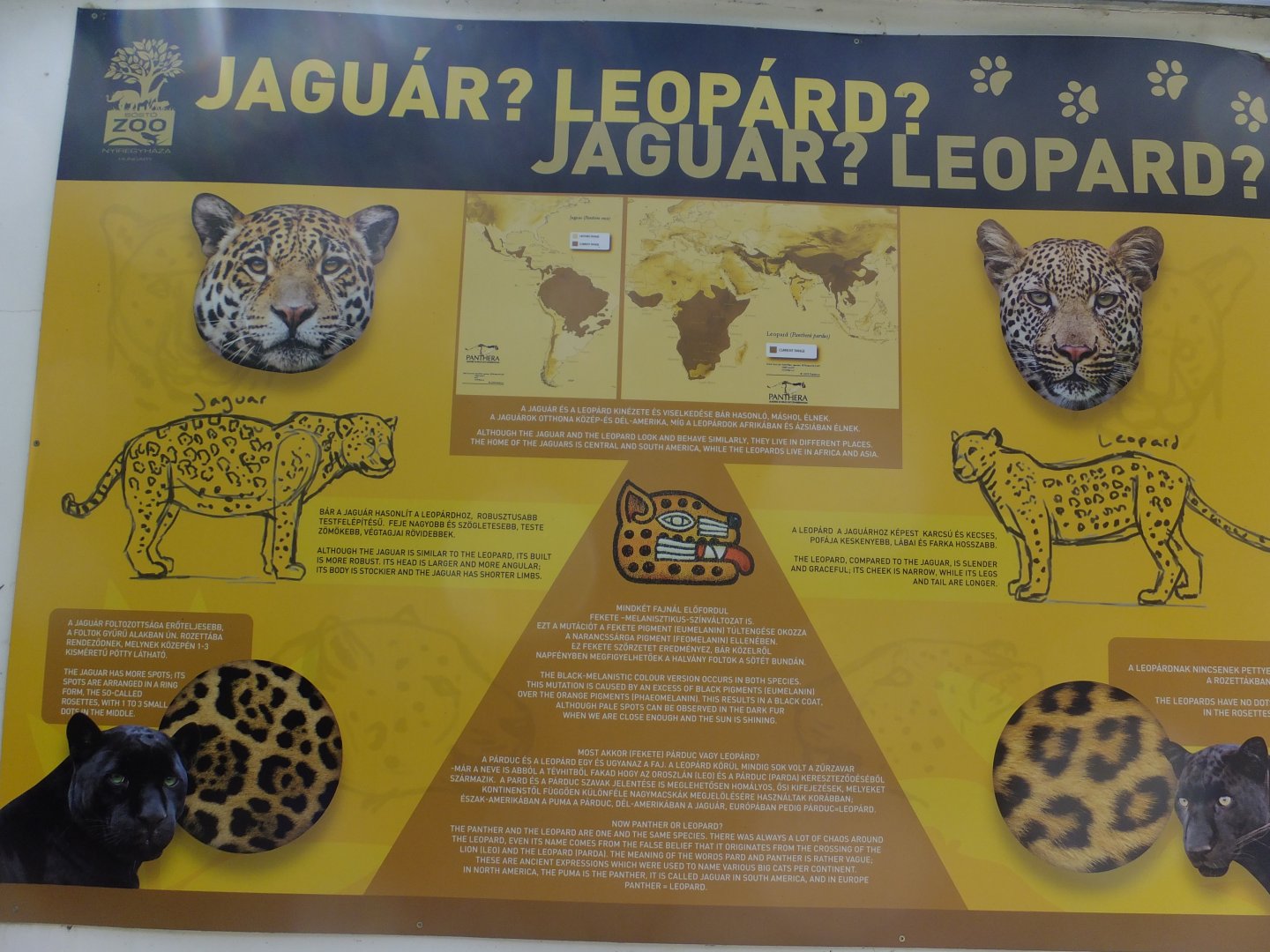 Jaguar vs. Panther educational sign