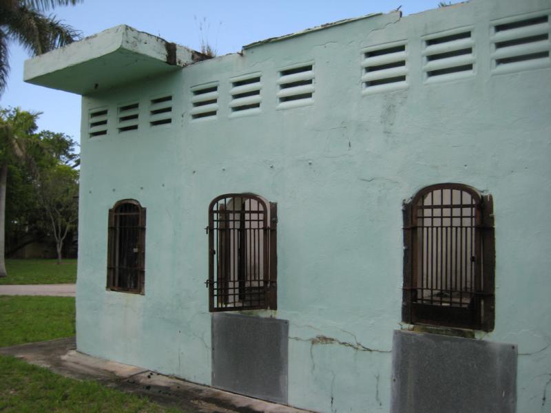 Jaguars cages backside