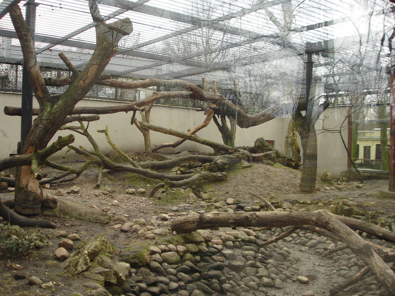 Jaguars exhibit