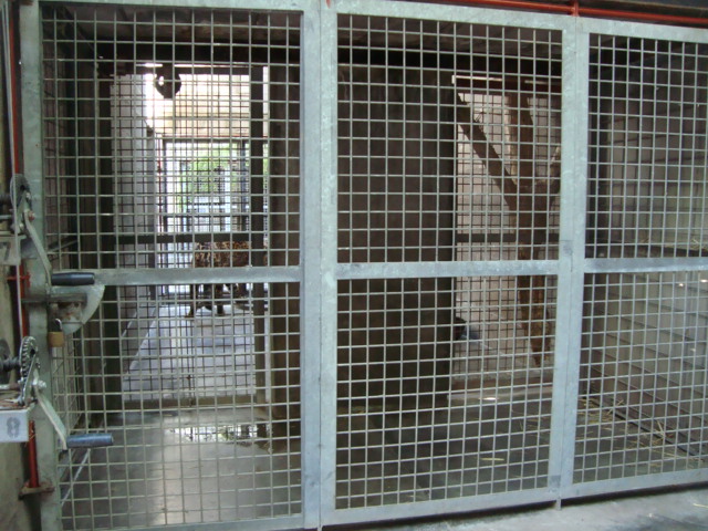 Jaguar's indoor exhibit