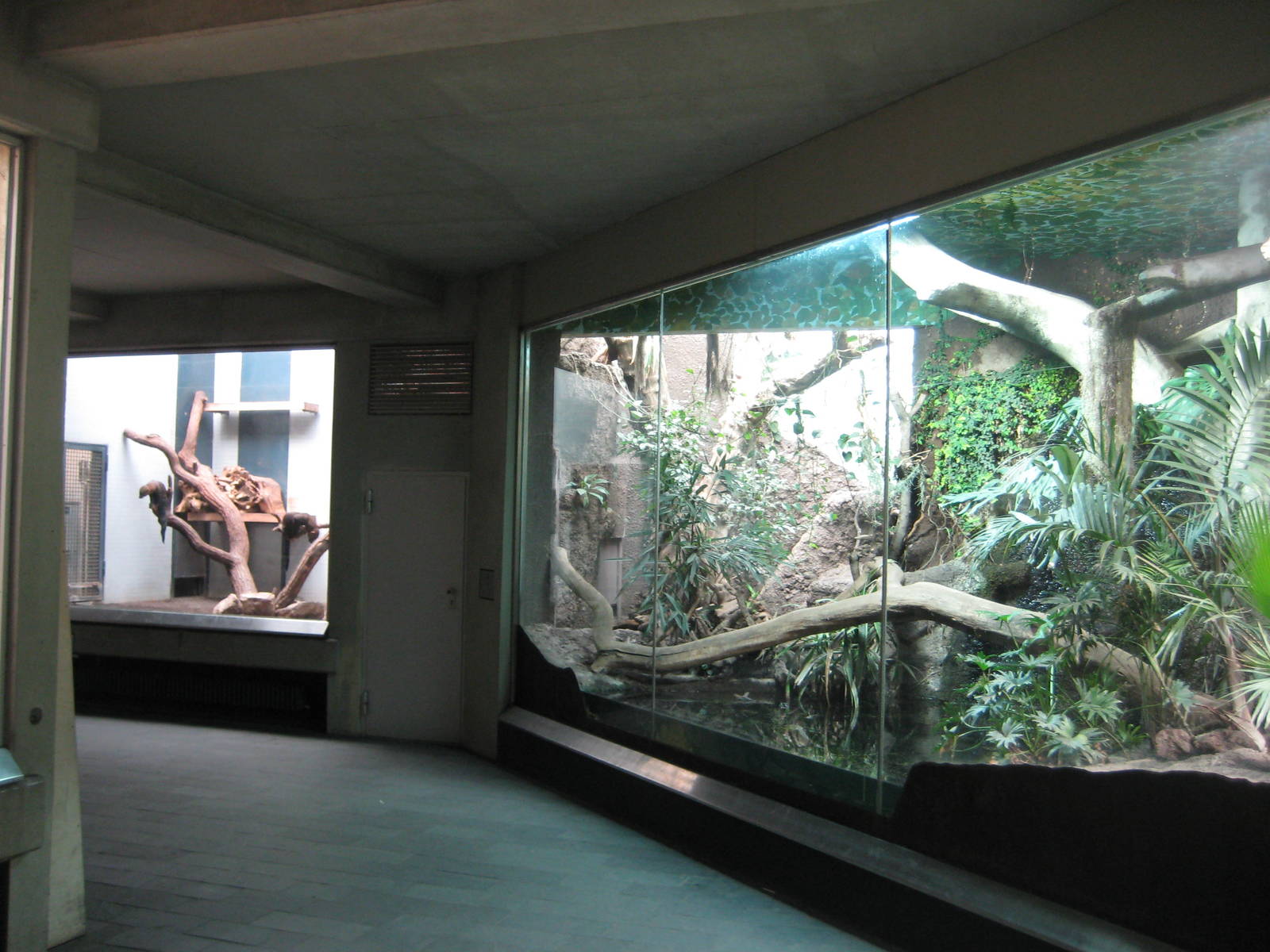Jaguarundi and Tayra Exhibits