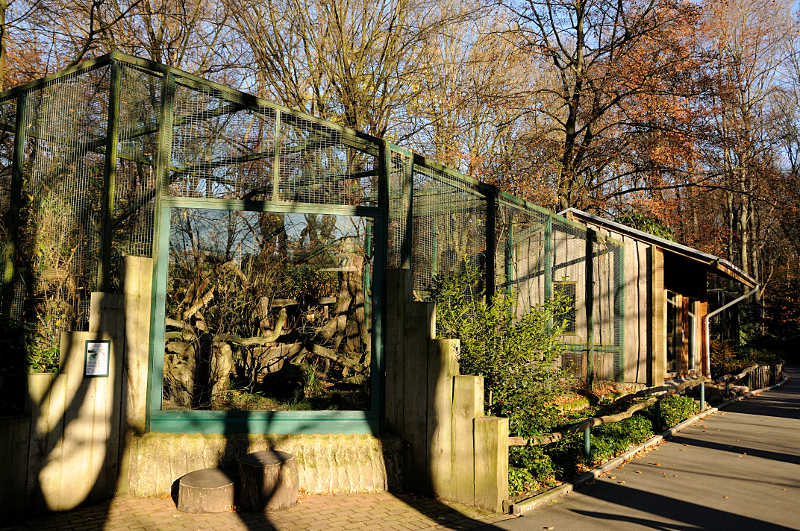 Jaguarundi aviary at Dortmund