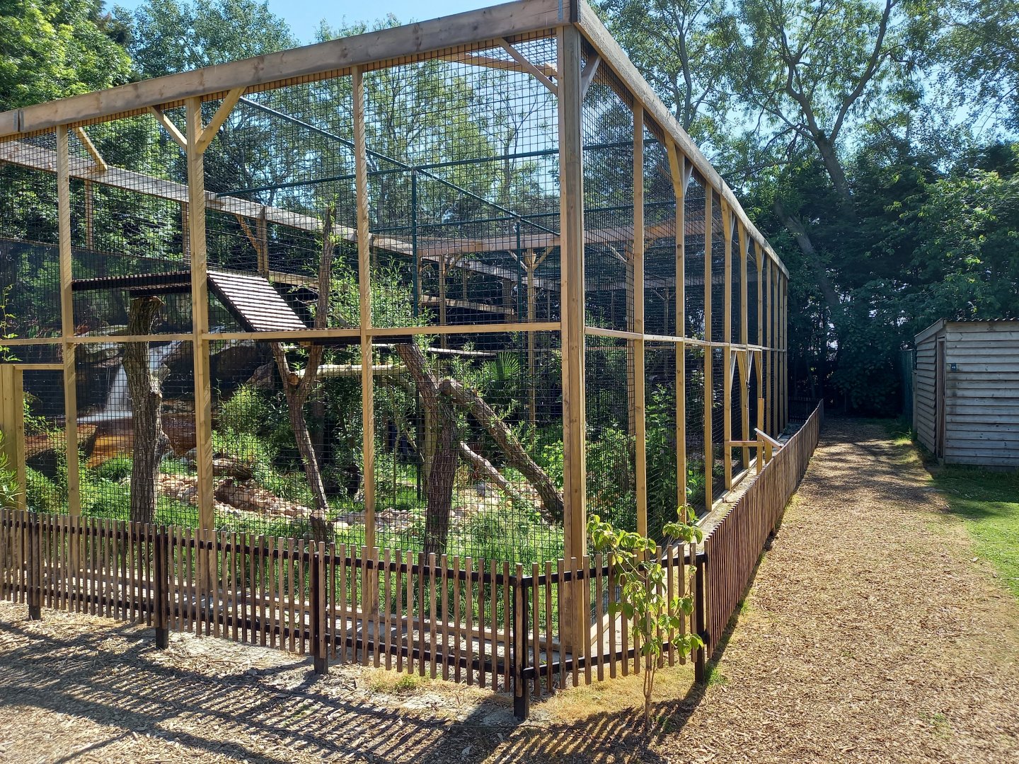 Jaguarundi-enclosures