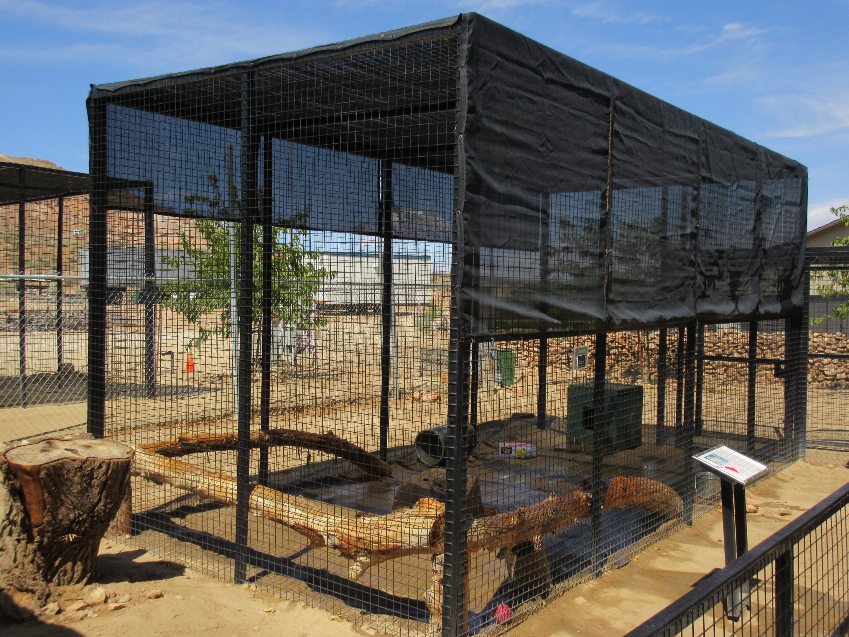 Jaguarundi Exhibit #1