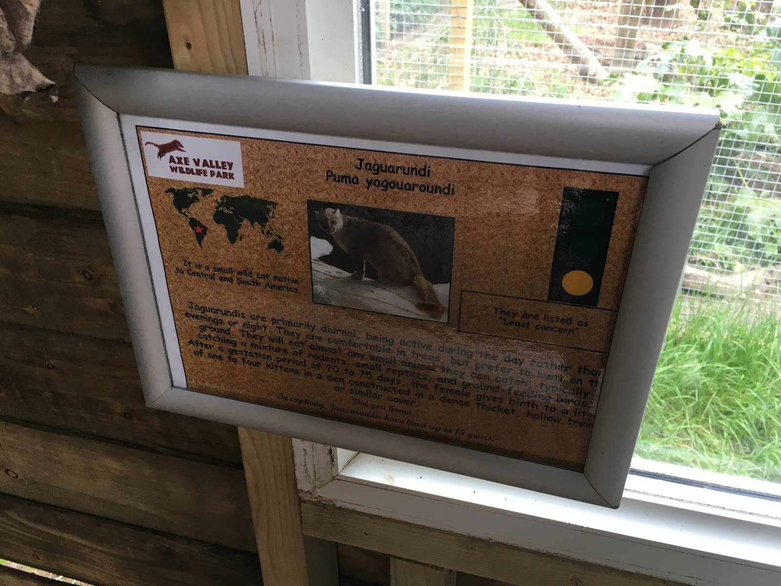 Jaguarundi signage 010516