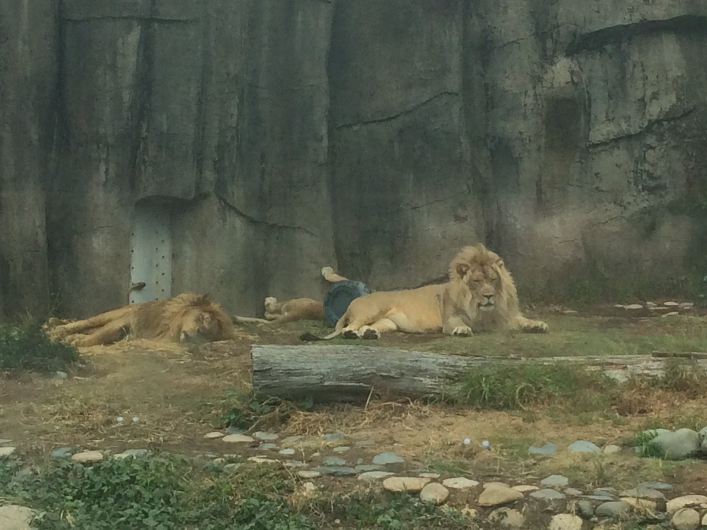 Jahari Sukari and Jasiri