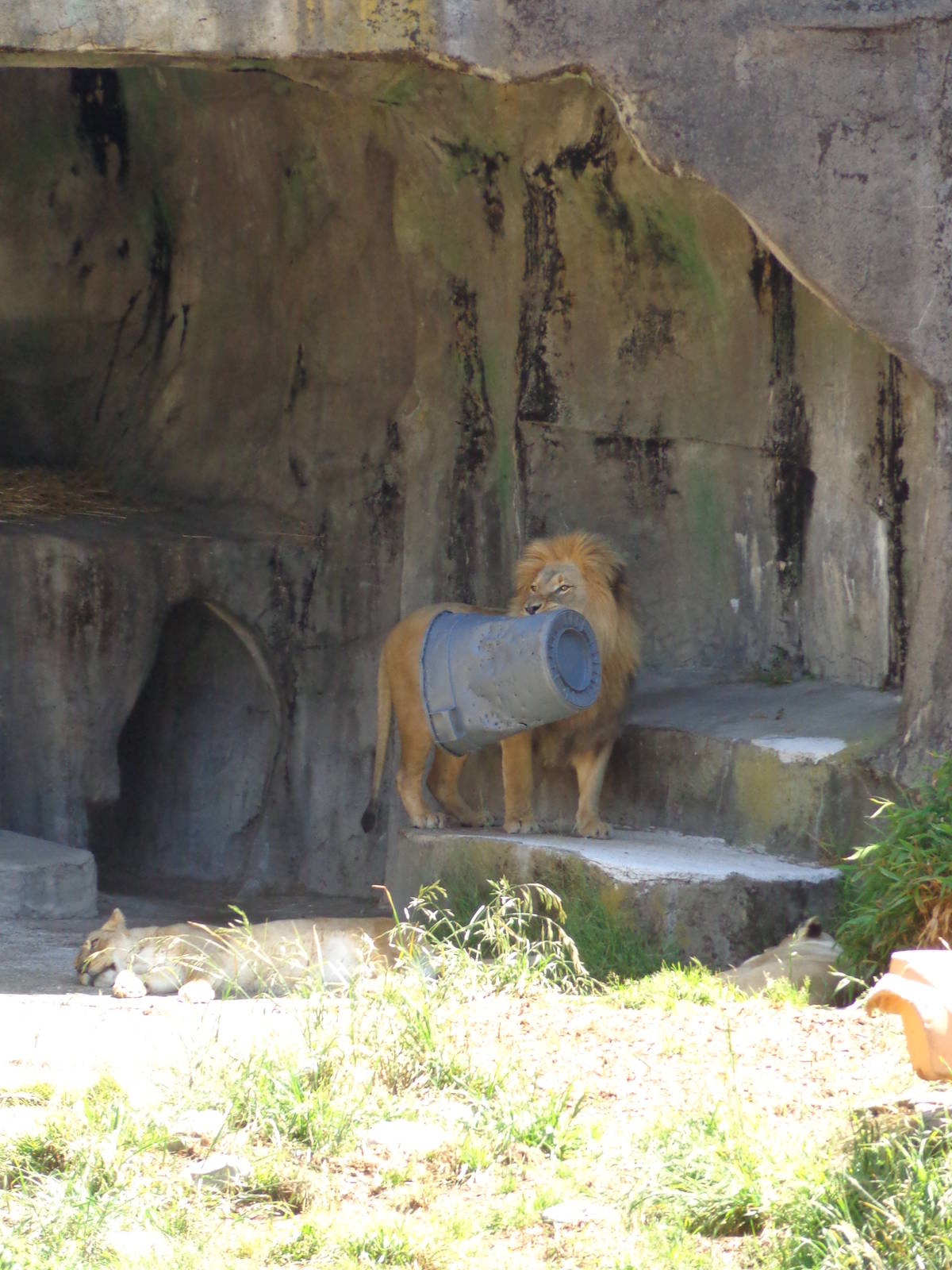 Jahari Takes Out the Trash