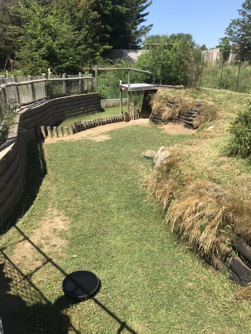 Jamaa kwa Africa African spurred tortoise exhibit
