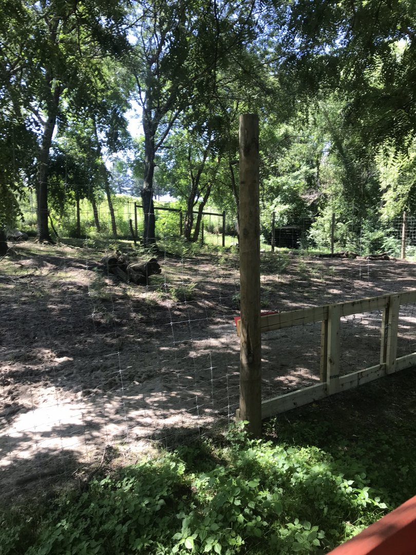 Jamaa kwa Africa Hartmann’s mountain zebra & common ostrich exhibit