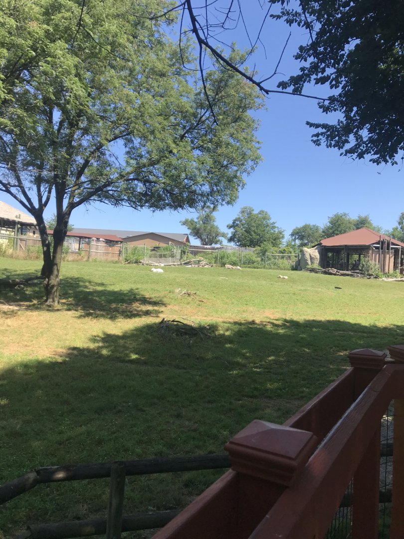 Jamaa kwa Africa mix species exhibit