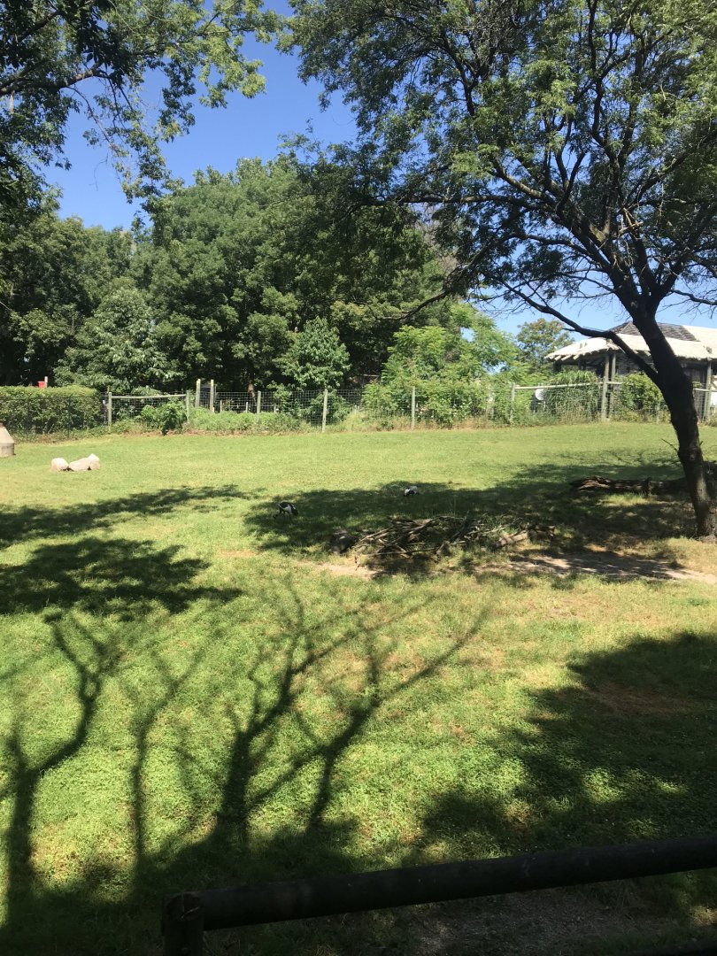 Jamaa kwa Africa mix species exhibit