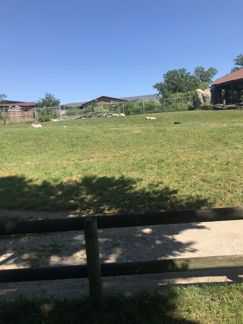 Jamaa kwa Africa mix species exhibit