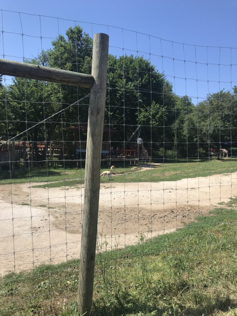 Jamaa kwa Africa mix species exhibit