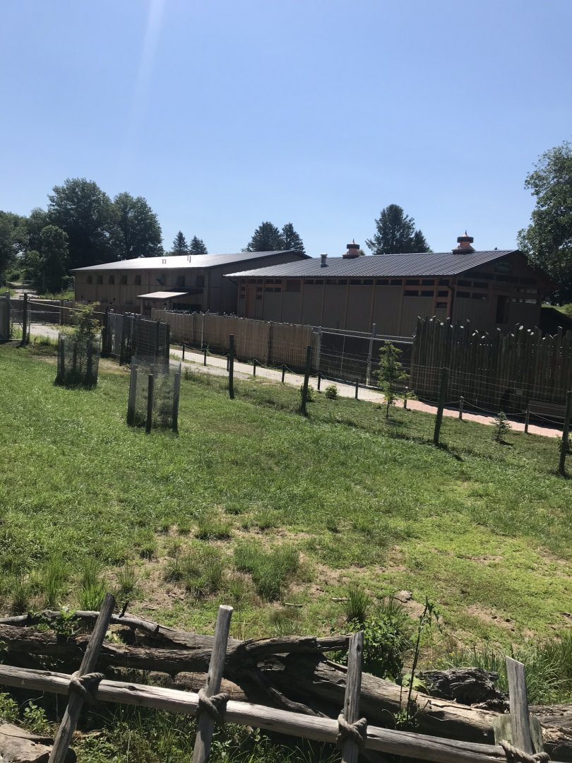 Jamaa kwa Africa Nyala & southern ground hornbill exhibit