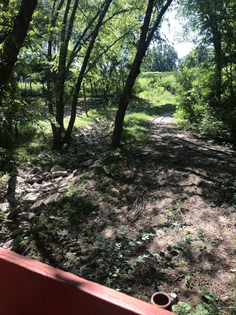 Jamaa kwa Africa site of former serval exhibit